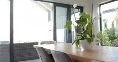 Beyaz çiçekli bir vazo ahşap bir masa süsler. Günışığı modern bir yemek odasına akar, rahat ve temiz bir atmosferi vurgular, yavaş çekim, değişmez.