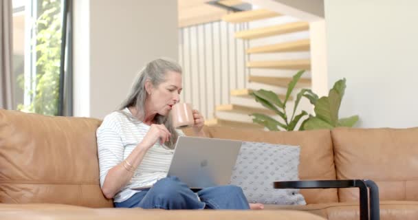 Mature Caucasian Woman Browsing Her Laptop Sipping Mug Couch Home — Stock Video