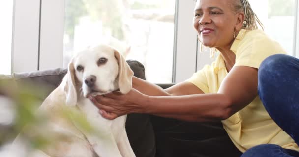 一位非洲裔美国老年妇女和她的狗在家里正在放松 她热情地微笑着 爱抚着她的心满意足舒服地躺在黑色的沙发上 一动不动 动作缓慢 — 图库视频影像