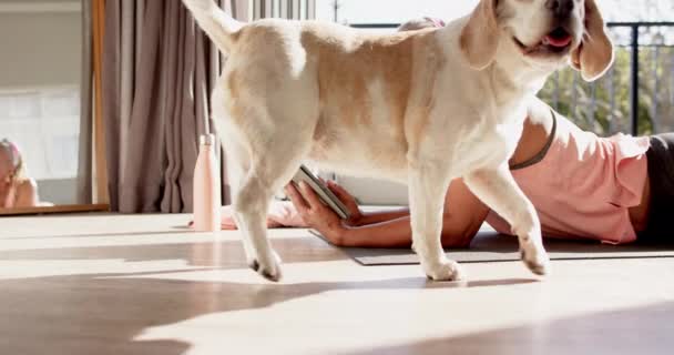 一位非洲裔美国妇女正在使用平板电脑 躺在家里的瑜伽垫上 她有一头灰白的短发 面带微笑 而她的狗就在一个阳光灿烂的房间里 纹丝不动 动作缓慢 — 图库视频影像
