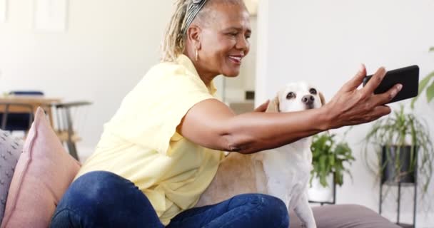 Афро Американская Старшая Женщина Делает Селфи Своей Собакой Дома Снимает — стоковое видео