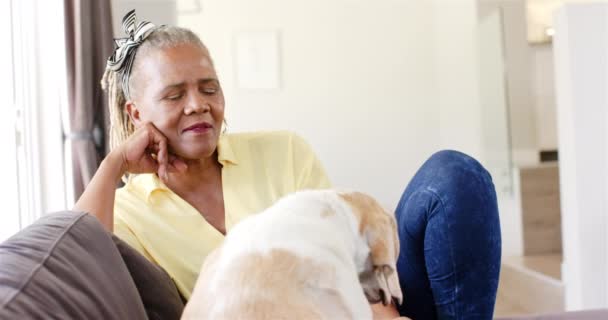 Μια Αφροαμερικανή Ηλικιωμένη Απολαμβάνει Μια Στιγμή Σκύλο Της Στο Σπίτι — Αρχείο Βίντεο
