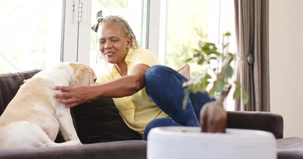 一位非洲裔美国老年妇女正与她的狗在家里的沙发上共度时光 他们在一个舒适的客厅里 阳光直射进来 营造出一种温暖 缓慢的氛围 — 图库视频影像