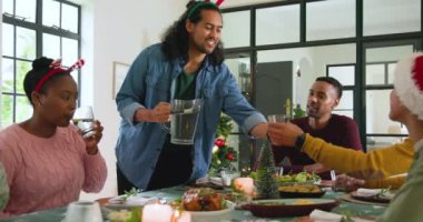 Çeşitli arkadaşlar Noel 'i evde kutluyor, içkileri ve kahkahaları ağaçta paylaşıyorlar. Kutlama, şenlik, toplanma, arkadaşlık, tatil, kapalı alan