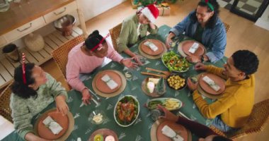 Çeşitli arkadaşlar Noel yemeğini evde kutluyor, içkilerle kadeh kaldırıyor ve gülümsüyor. Kutlama, tatil, şenlik, aile, neşe, birliktelik