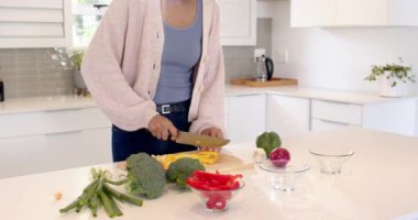 Hintli kadın modern mutfakta sebze doğruyor, sağlıklı yemek hazırlıyor. Aşçılık, aşçılık, yaşam tarzı, hazırlık, beslenme, yerli