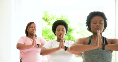 Birlikte yoga yapıyor, Afro-Amerikan kadınları oturma odasında huzur içinde meditasyon yapıyor. Meditasyon, farkındalık, rahatlama, dinginlik, refah, uyum.