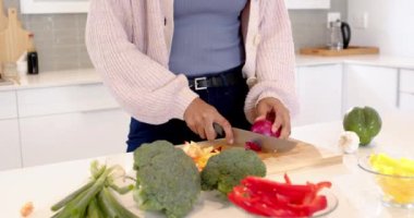 Mutfakta sebze doğrayan, evde yemek hazırlayan Hintli kadın. Aşçılık, aşçılık, yaşam tarzı