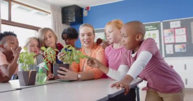 Okulda, bayan öğretmen ve öğrenciler sınıf aktivitelerinde bitkileri birlikte inceliyorlar. Eğitim, biyoloji, takım çalışması, botanik, öğretim, öğrenme