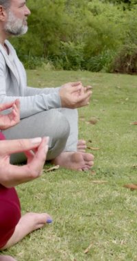 Dikey video: Olgun bir çift çimlerin üzerinde meditasyon yapıyor, rahatlamaya ve farkındalığa odaklanıyor. Meditasyon, yoga, sağlık, sükunet, dinginlik, uyum.