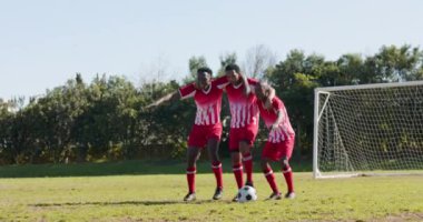 Zaferi kutlayan erkek futbol takımı sahada futbol topuyla kupa tutuyor. Takım çalışması, şampiyonluk, kutlama, sporcular, sportmenlik, yarışma