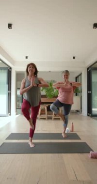 Dikey video: Evde yoga yapan yaşlı kadınlar, minderlerle konsantrasyonu dengeliyor. Sağlık, fitness, egzersiz, denge, meditasyon, yaşlılık