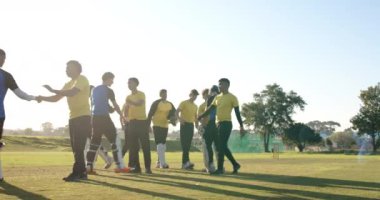 Kriket oyuncuları sahada el sıkışıyor, takım çalışmasını ve sportmenliği kutluyorlar. Zafer, tokalaşma, rekabet, kutlama, dostluk, sporcular