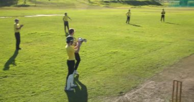 Sahada kriket oynuyor, çeşitli takımlar başarılı maç anını kutluyor. Zafer, kutlama, takım çalışması, sportmenlik, oyuncular, yarışma