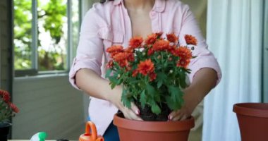 Çiçekleri portakal suyu kutusuyla sulayan bir kadın. Bahçıvanlık, bahçıvanlık, bitki bakımı, ev bitkileri, çiçekçilik, bahçe işleri.