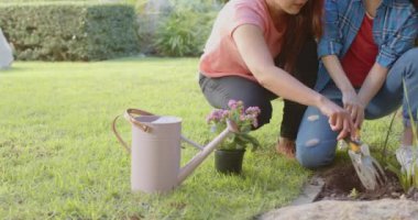 Bahçe işleri, Asyalı anne ve kızı arka bahçeye çiçek dikiyorlar. Aile, bağ, bahçıvanlık, takım çalışması, açık hava, doğa.