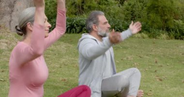 Dışarıda yoga yapmak, olgun çiftlerin barışçıl ifadelerle meditasyon yapması. Meditasyon, sağlık, sükunet, rahatlama, egzersiz, doğa
