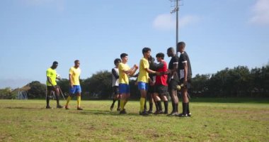 Futbol oynuyorlar, takım üyeleri el sıkışıyor ve sahada kutlama yapıyorlar. Spor, takım çalışması, kutlama, tokalaşma, zafer, sporcular