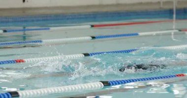 Havuzda yüzen, erkek sporcu yüzme şeritlerinde serbest vuruş pratiği yapıyor. atletik, antrenman, fitness, rekabet, sağlık