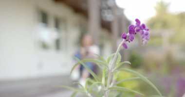 Verandada oturan, içkinin tadını çıkaran ve evde dinlenen bir kadın. Rahatlama, rahatlama, yaşam tarzı, değişmemiş.,