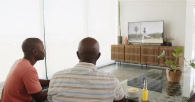 Birlikte televizyon izliyoruz, Afrikalı Amerikalı baba ve oğul oturma odasında abur cubur ve içkinin tadını çıkarıyorlar. Arkadaşlar, rahatlama, rahatlama, eğlence, kaynaşma, kapalı alan