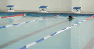 Şeritte yüzmek, atlet kapalı havuzda serbest stil okşama çalışması, fotokopi alanı. eğitim, kapalı alan, su, fitness, egzersiz, rekabet