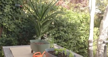 Bahçede sulama bitkileri, portakal sulama kutusu ve masada saksı bitkileri. Bahçıvanlık, bahçıvanlık, açık hava, yeşillik, doğa, ev bahçesi