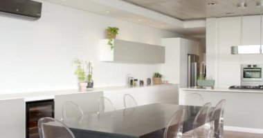 Yemek masasının etrafında şeffaf sandalyeler ve saksı bitkileri olan modern mutfak, kopyalama alanı. İç mekan, çağdaş, yemek alanı, ev dekorasyonu, mobilya, yeşillik, tarz, değiştirilmemiş, yavaş çekim