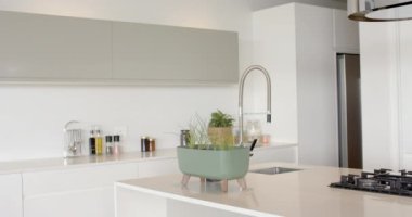 Tezgahın üstünde saksı bitkisi olan modern mutfak, gösterişli aletler, fotokopi alanı. İç mekan, ev dekorasyonu, minimalist, değiştirilmemiş, yavaş çekim