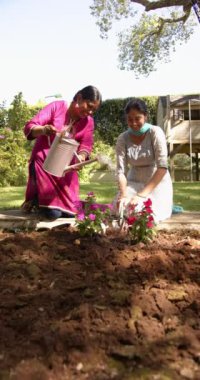 Dikey video: Bahçedeki çiçekleri sulamak, iki kadının birlikte bahçeyle uğraşması, doğanın tadını çıkarması. Takım çalışması, eğlence, hobi, yeşillik, arkadaşlık, yaşam tarzı