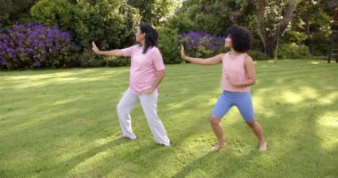Tai Chi pratiği, parkta çimlerin üzerinde birlikte egzersiz yapan anne ve yetişkin kız. Egzersiz, sağlık, rahatlama, spor, açık hava, farkındalık.