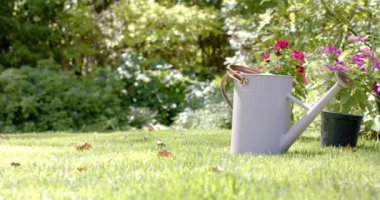 Güneşli bir günde bahçede çiçek açan teneke kutunun yanına yerleştirilmiş, kopyalama alanı. Bahçecilik, açık hava, doğa, bahçıvanlık, güneş ışığı, aletler.