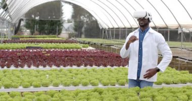 Afro-Amerikan bir adam seradaki hidroponik sebze bahçesini inceliyor. Tarım, teknoloji, yenilik, sanal gerçeklik, tarım, organik