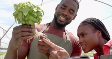 Fesleğen fabrikası, Afro-Amerikan erkek ve Afro-Amerikan kadın. Tablet kullanarak hidrofonik tarımı tartışıyorlar. Tarım, hidroponik, teknoloji, takım çalışması, yenilik, teftiş