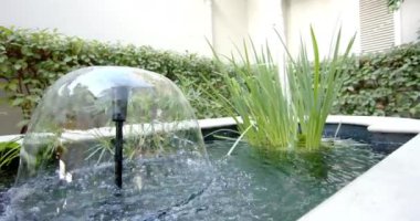 Çeşmeden akan su, yemyeşil bitkilerle çevrili. Güneş ışığı yüzeyden yansıyor, barışçıl mavi bir zemin yaratıyor, değişmemiş, yavaş çekim