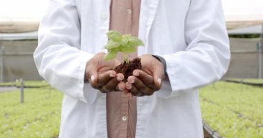 Elinde genç bir bitki, laboratuvar önlüklü biri hidroponik çiftliğinde çalışıyor. Hidrofonik, tarım, çiftçilik, fidanlar, laboratuvar, araştırma