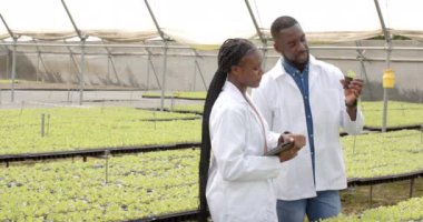 Fabrikaları teftiş ediyorlar, laboratuvar önlüklü iki bilim adamı hidrofonik çiftlikte çalışıyor. Tarım, araştırma, teknoloji, laboratuvar, yenilik, bitki bilimi