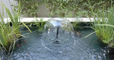 Su bir bahçe havuzunda pürüzsüz, yansıtıcı bir küre üzerinde fokurduyor. Çevreleyen yeşil bitkiler, sükuneti ve doğal güzelliği ekliyor, değişmemiş, yavaş çekim