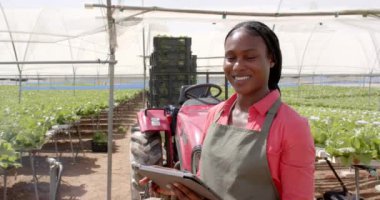 Gülümseyen Afrikalı Amerikalı kadın hidrofonik çiftlikte tablet tutuyor, traktörün yanında duruyor. Tarım, teknoloji, tarım, sera, organik üretim