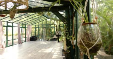 Boş cam ev, asılı bitkiler, yoga seansı için hazır, fotokopi alanı. Sağlık, meditasyon, rahatlama, iç mekan, manevi, fitness