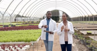 Hidrofonik çiftlikte yürüyen bilim adamları bitki yetiştirme ve araştırma konularını tartışıyor. Tarım, hidroponik, tartışma, yenilik, sürdürülebilirlik, teknoloji