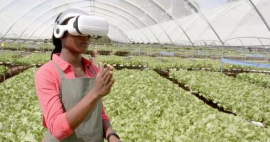 Afro-Amerikan kadın sera ortamında hidroponik çiftliği yönetiyor. Tarım, teknoloji, yenilik, sürdürülebilirlik, tarım, sanal gerçeklik