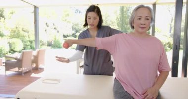 Kıdemli Asyalı kadına kol egzersizi, fizyoterapiste evde küçük bir top kullanarak yardım etmek. terapi, fizyoterapist, rehabilitasyon, sağlık hizmetleri, yardım, bakıcı