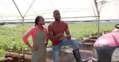 Hidroponik çiftliğinde, tabletli Afro-Amerikan bir adam seradaki Afrikalı Amerikalı bir kadınla tartışıyor. Tarım, tarım, organik, teknoloji, işbirliği, üretim