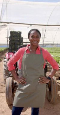 Dikey video: Önlüklü gülümseyen kadın hidrofonik çiftlikte duruyor, elleri kalçasında. Tarım, tarım, organik, üretim, sera, sürdürülebilirlik