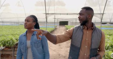 Hidrofonik tarım teknikleri, Afrika kökenli Amerikalı erkek ve Afrika kökenli Amerikalı kadın serayı işaret ediyor. Tarım, hidroponik, takım çalışması, sürdürülebilir, organik, üretim