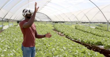Afro-Amerikan adam, VR kulaklığı kullanarak yemyeşil bitkilerle hidrofonik çiftliği keşfediyor. Tarım, tarım, teknoloji, sanal gerçeklik, yenilik, yeşillik