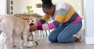 Afro-Amerikalı genç bir kadın evinde, parlak bir odada iki köpeği okşuyor. Renkli bir süveter giyiyor, koyu kıvırcık saçları ve altın halka küpeleri var, değiştirilmemiş, yavaş çekim