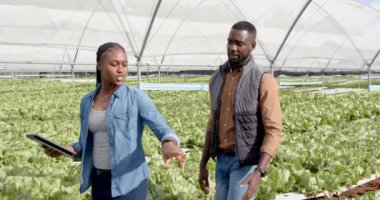 Hidrofonik çiftlikte yürürken, iki çiftçi mahsul büyümesini tartışıyor ve tablet kullanıyor. Tarım, tarım, hidroponik, teknoloji, yenilik, mahsul