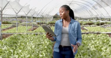 Elinde tablet olan gülümseyen kadın, seradaki hidrofonik sebze bahçesini inceliyor. Tarım, tarım, organik, üretim, teknoloji, hidroponik